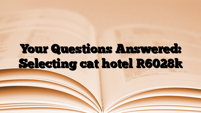 Your Questions Answered: Selecting cat hotel