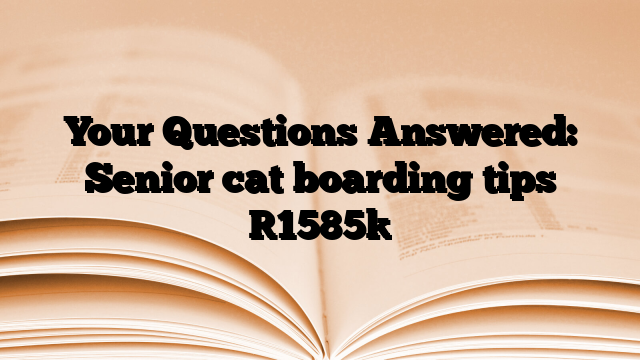 Your Questions Answered: Senior cat boarding tips
