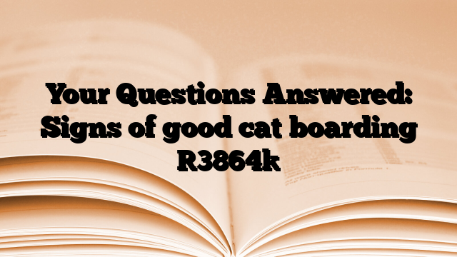 Your Questions Answered: Signs of good cat boarding