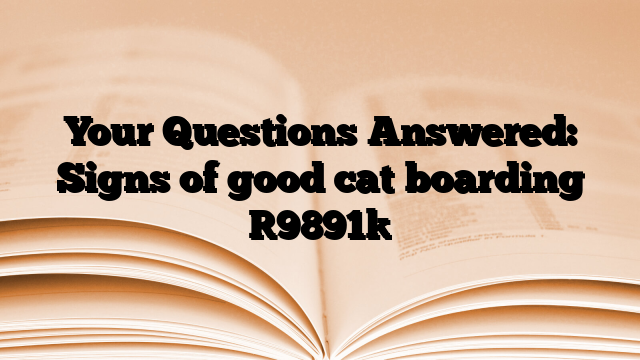 Your Questions Answered: Signs of good cat boarding