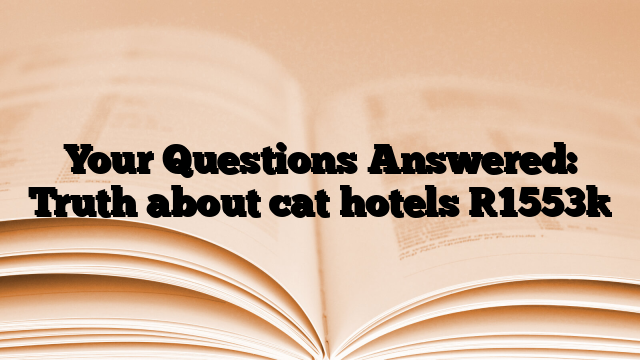 Your Questions Answered: Truth about cat hotels