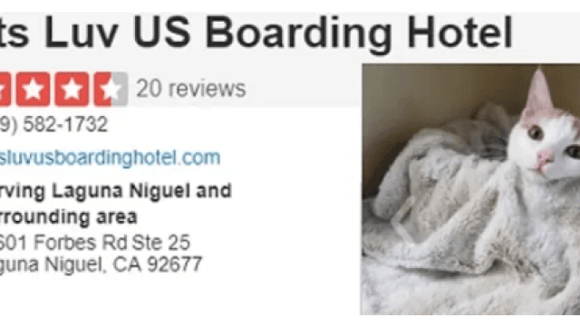 Cat boarding services at Cats Luv Us in Laguna Niguel