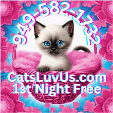CatsLuvUs