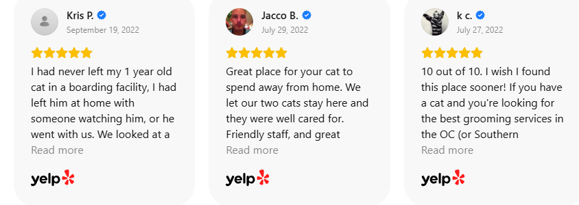 Customer Review 9