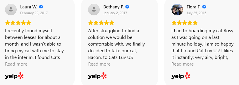 Customer Review 49