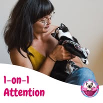 Cat Boarding Photo 8