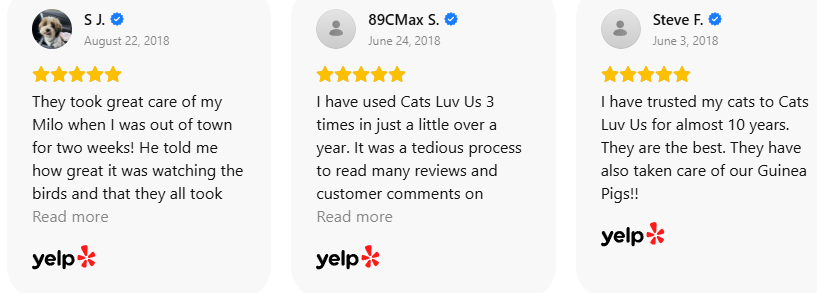 Customer Review 44