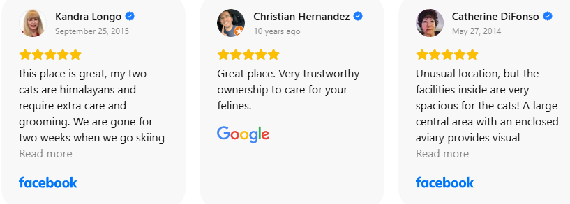 Customer Review 50