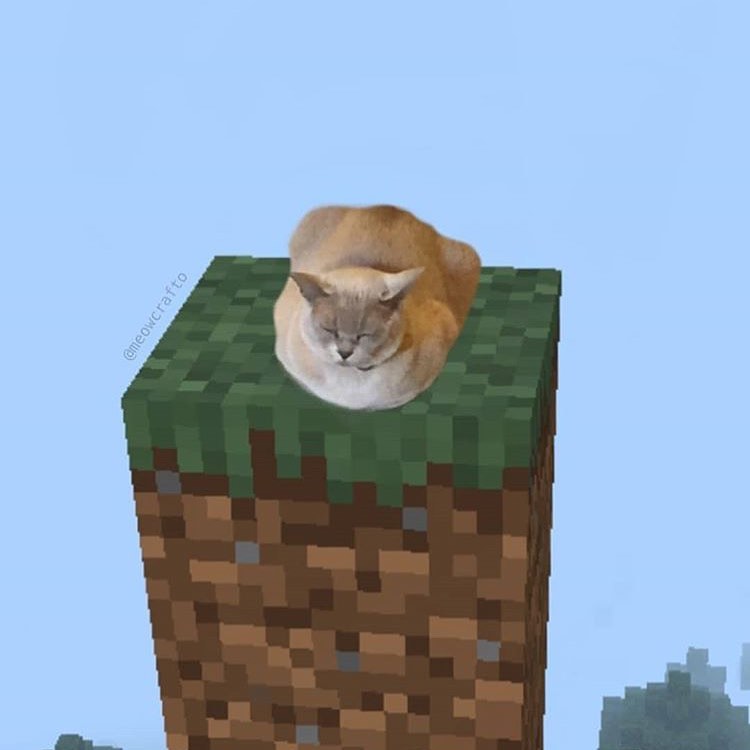realistic cat meme minecraft skin