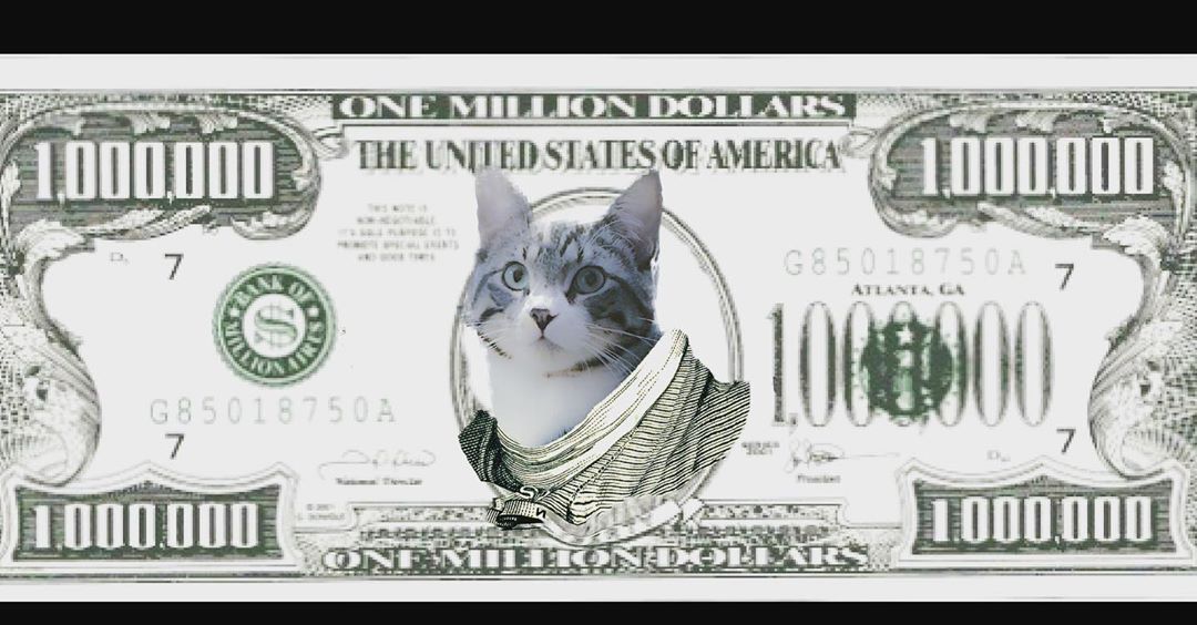 I vote cats on money Whos with me Felix looking