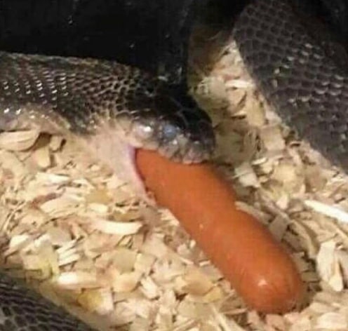 Ill be the weenie who tryna be the snek