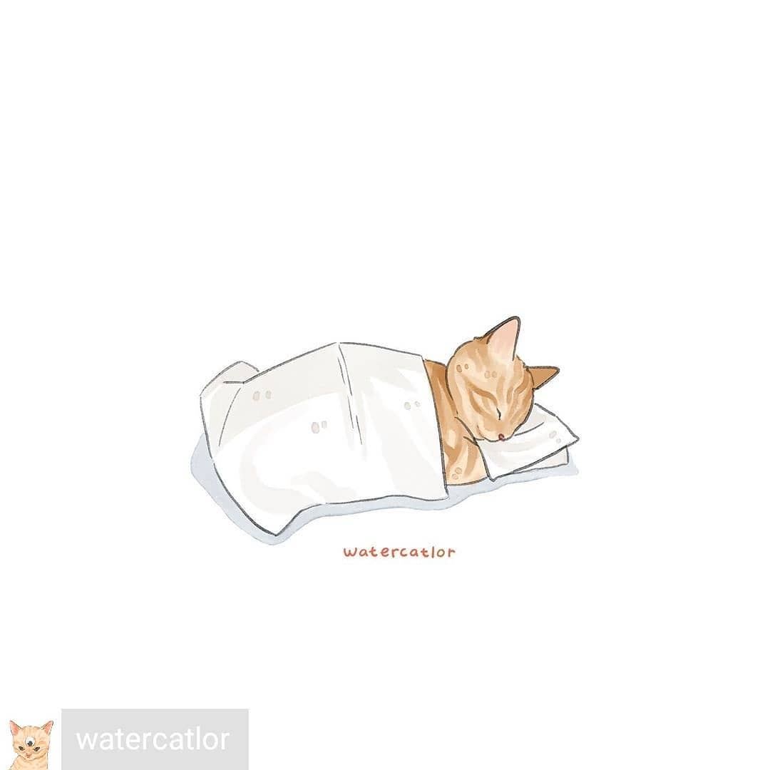 Riqueza Reposted from @watercatlor Let himb sLeep photo credit unknown
