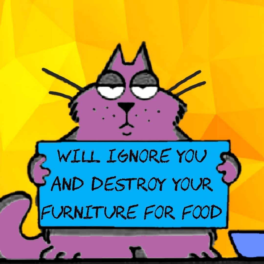 Yeap I think my cats take turns holding this sign