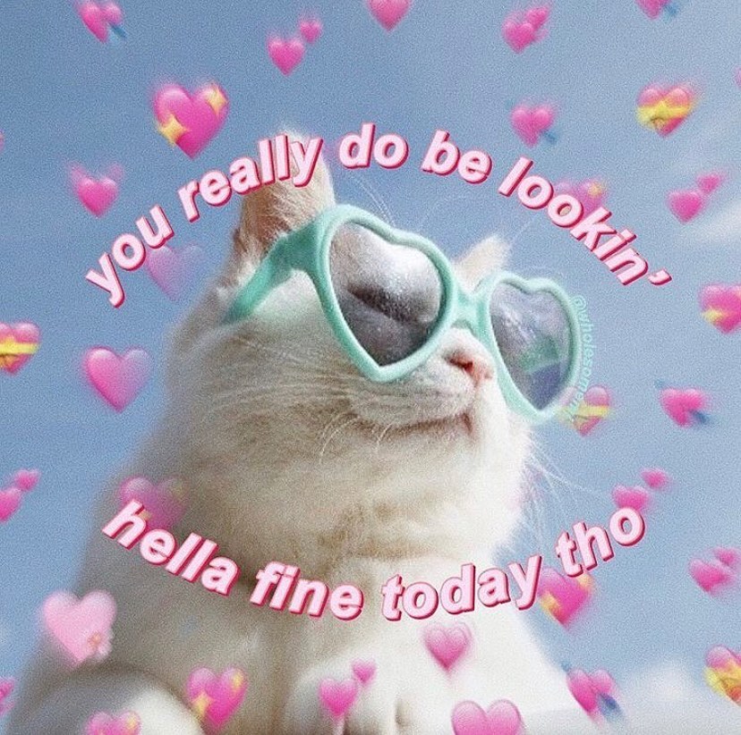 hola • • • • • wholesomememes wholesome cats cutie