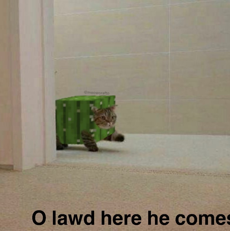 the defeater of netherite minecraft cattos cactus catmemes cute owo