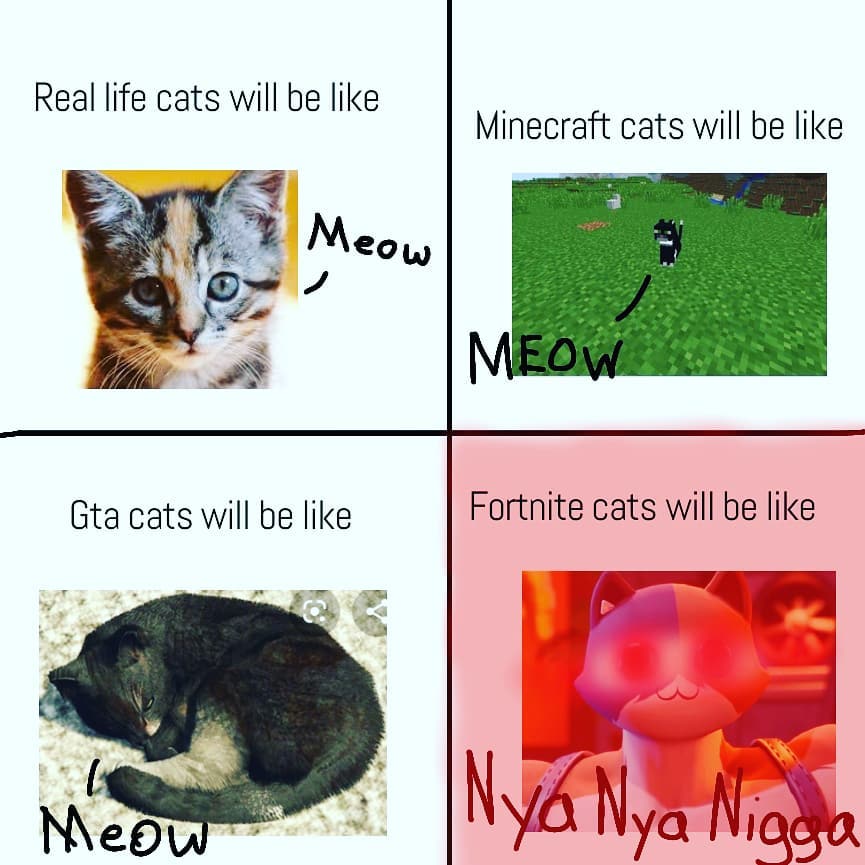 I made this for a friend lol memes catmemes fortnite