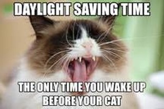 PSA Daylight Savings is this Sunday March 8th Dont forget