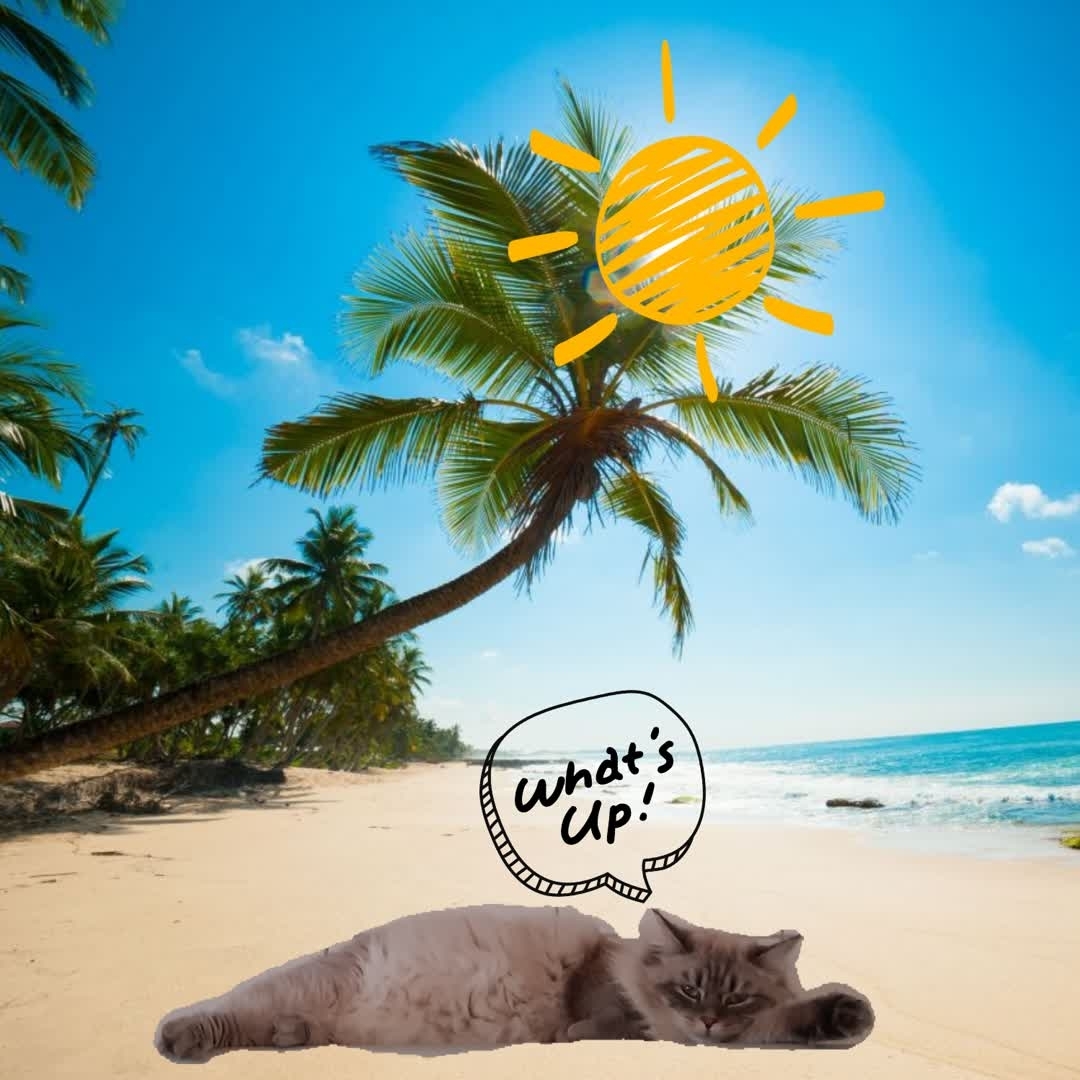 Sirius is already chilling on the beach on Island Bali