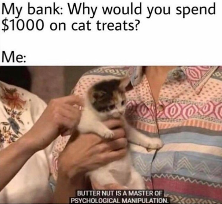 The manipulation is too much dankmemes memes cat catmemes funnymemes