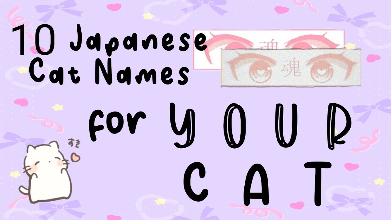 10 Japanese Cat Names For Your Cat