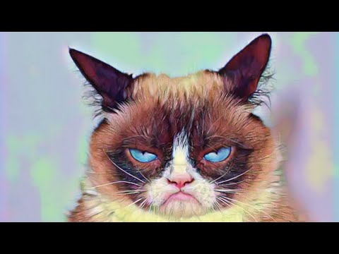 FUNNY CATS COMPLATION 2021 FUNNY CATS VIDEOS EVER  PART- 1