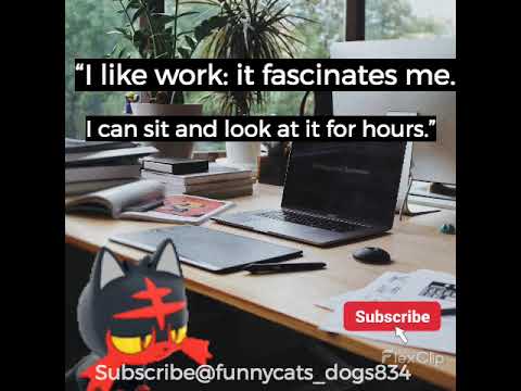 I Like Work Funny Cat Videos #funny #funnyshorts #like #work #funnycats
