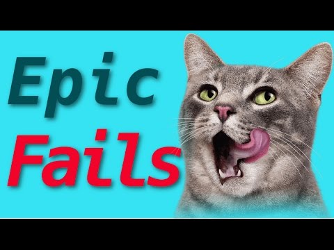 Best #Cat Fails and #Funny Videos #Compilation