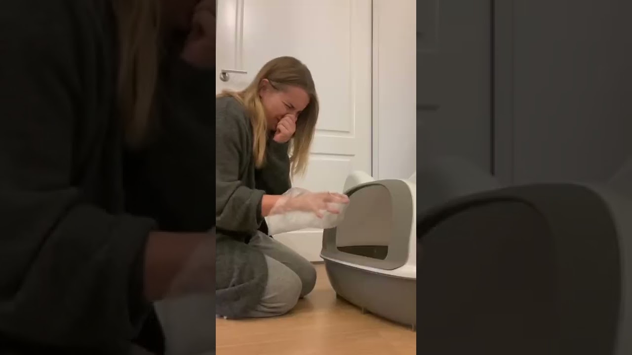 Super Funny Cat Laughing While Owner Changes Litter