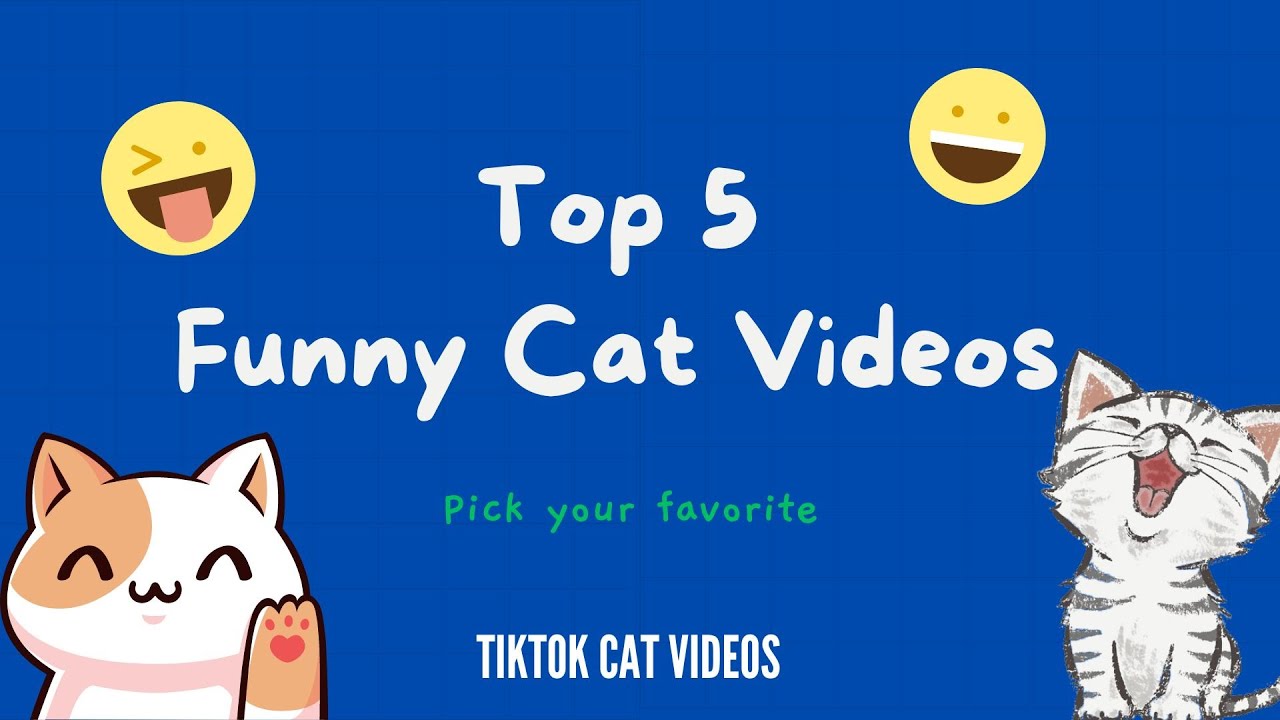 Top 5 TikTok Cat Clips