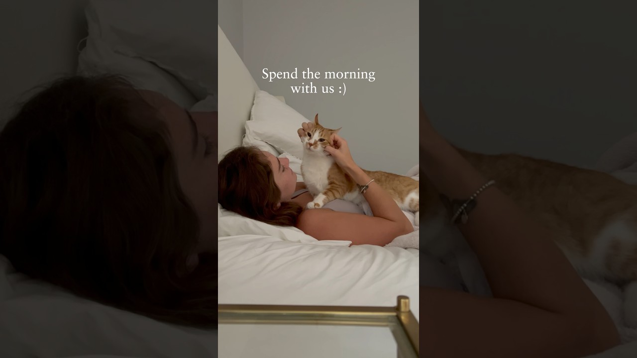 Morning routine of a crazy cat lady