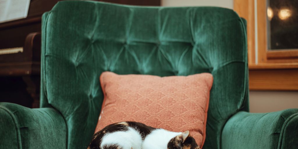calico cat on top of green tufted armchair