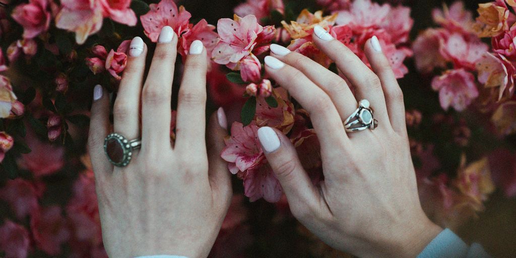 person holding pink flowers