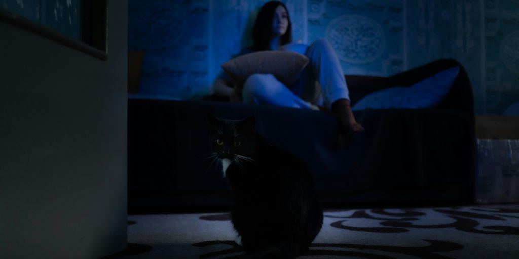 a woman sitting on a couch next to a cat