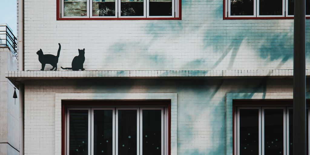 two black cats on white high-rise building