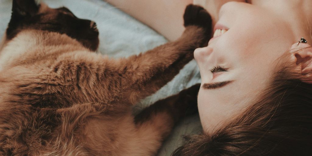 woman lying beside brown cat