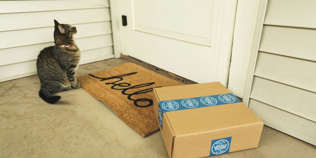 brown tabby cat on brown cardboard box