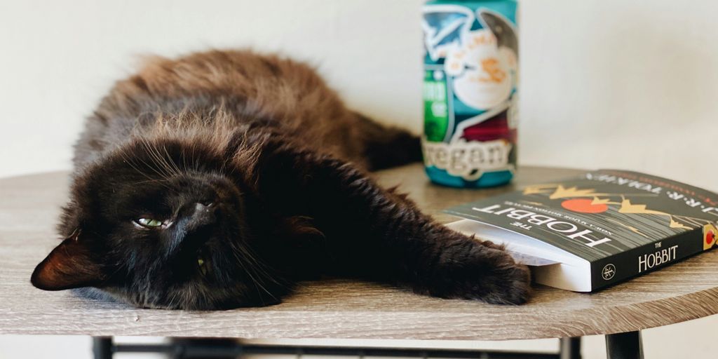 brown and black cat on white wooden table