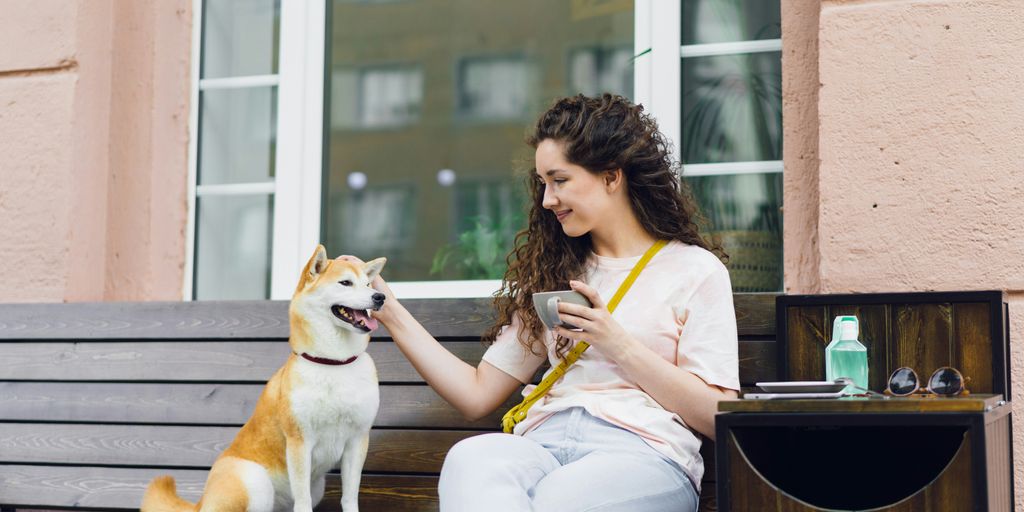 a woman sitting on a bench petting a dog