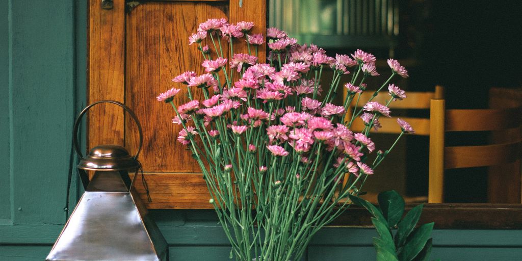 pink gerbera daisies on milk churn