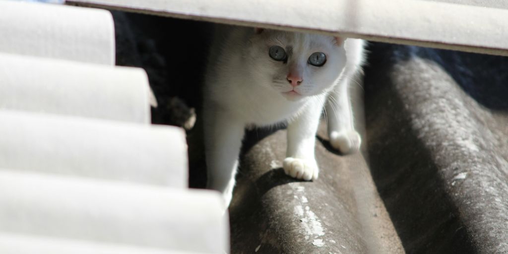 Installing a Rooftop AC Unit in a Home with Cats