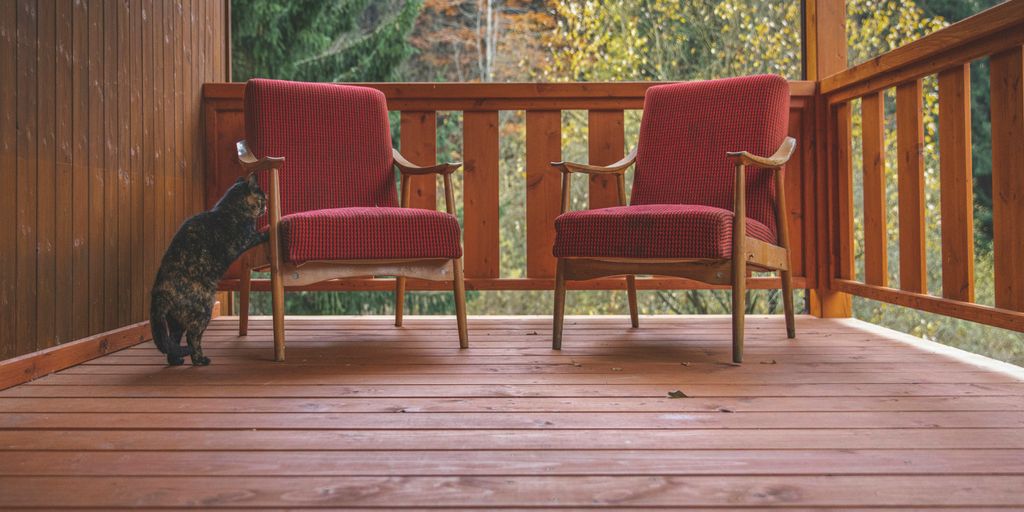 a cat sitting on a wooden porch next to two chairs