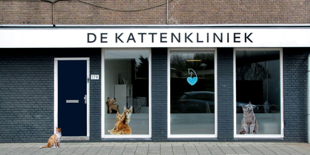 De Kattenklniek store beside orange and white cat at daytime