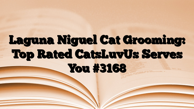 Laguna Niguel cat grooming at Cats Luv Us