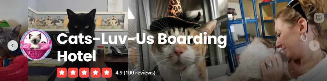 4.9 stars on Google — Cats Luv Us Boarding Hotel highly rated cat boarding