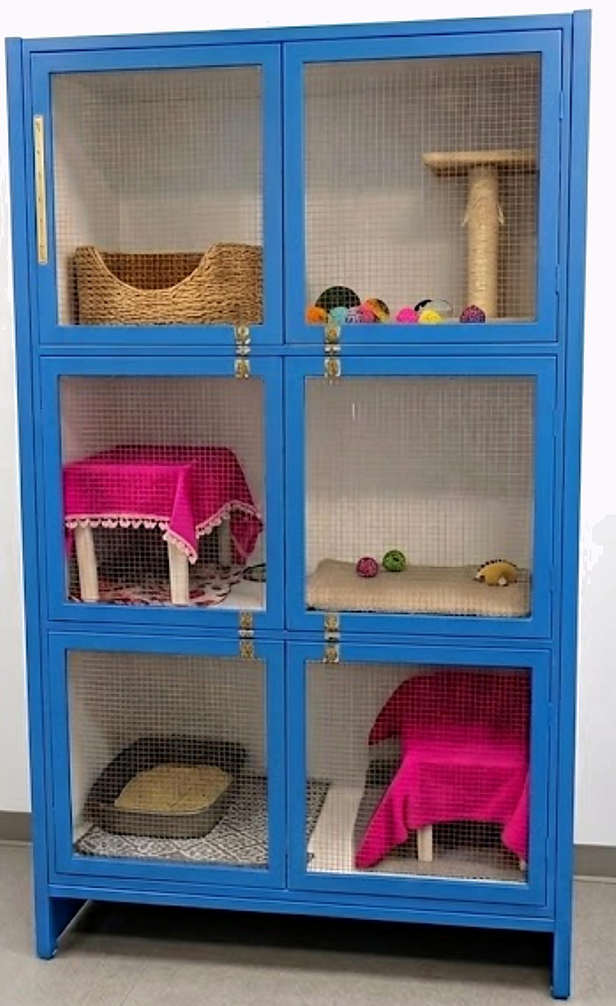 Blue three-story cat family apartment condo with six adjoining rooms at Cats Luv Us