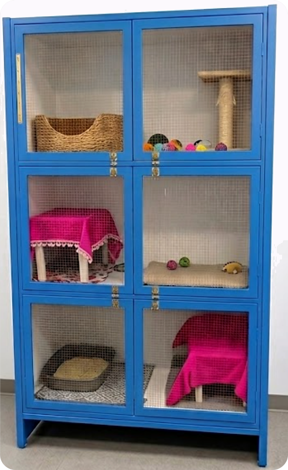 Blue six-condo cat suite cabinet