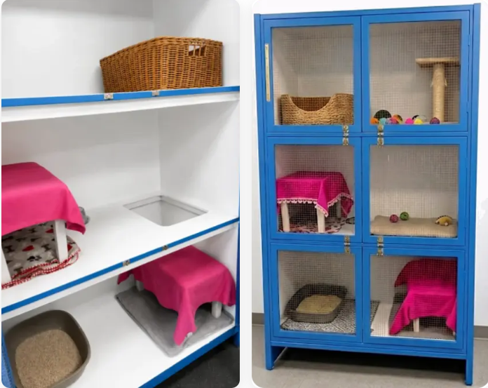 Cat suite interior and blue six-condo cabinet