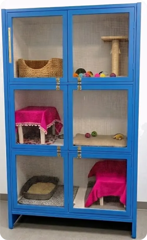 Full exterior view of blue six-compartment cat condo suites