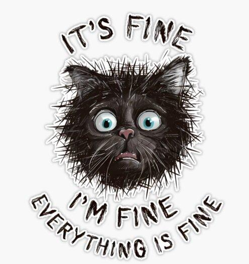 It's fine. I'm fine. Everything is fine.