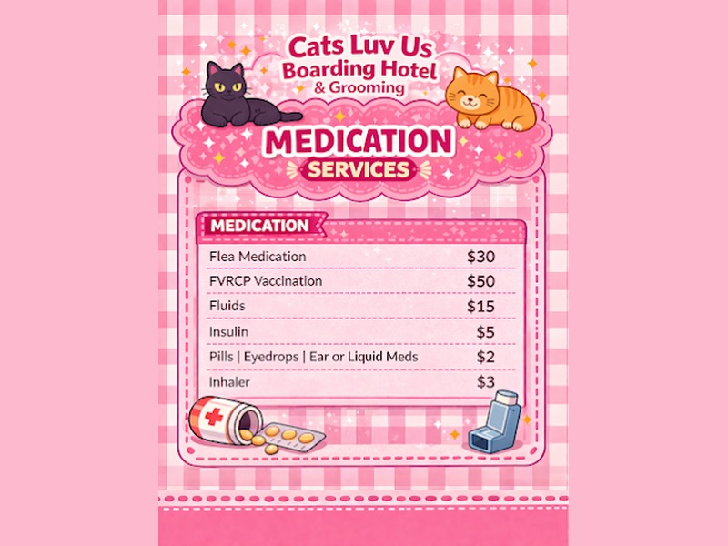 Cats Luv Us medication services pricing menu